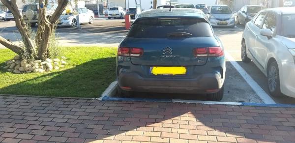 סיטרואן C4 קקטוס (2020)