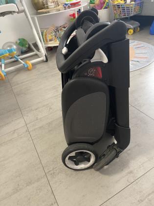 בוגבו אנט שחורה כחדשה היתה