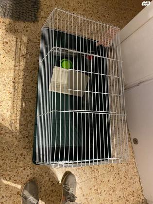 כלוב לארנב שעלה 300/350 ונרכש