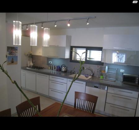 דב גרונר 271 (תלפיות מזרח)