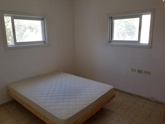 דבורה בארון 7 (כצנלסון)