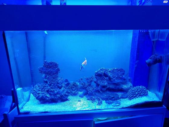 למכירה אקווריום 120 ס"מ 450