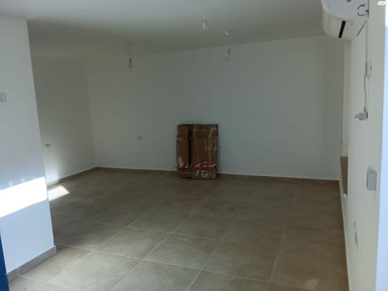 תכלת מרדכי 1