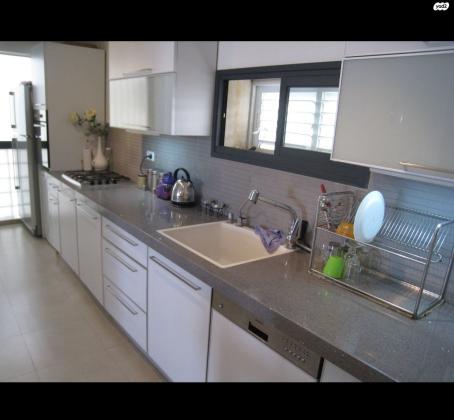 דב גרונר 271 (תלפיות מזרח)