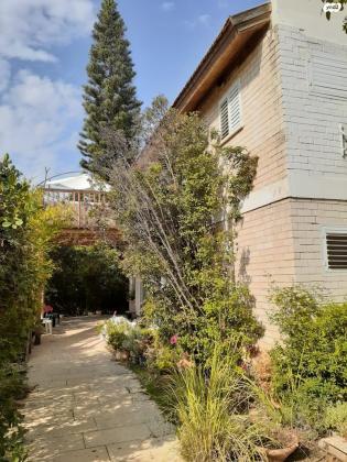 הנרייטה סולד 12 (אליעזר)