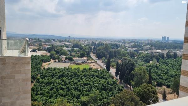 דרך השלום 29