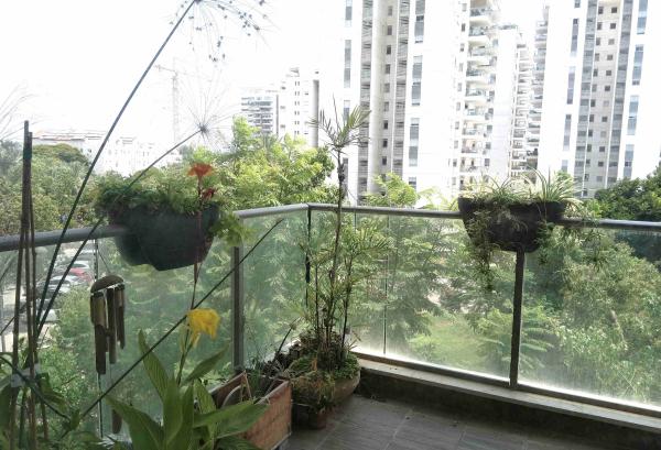 גינת אגוז 2 (נוה פרדסים)