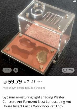 חוות נמלים עם קן שלם של נמלים