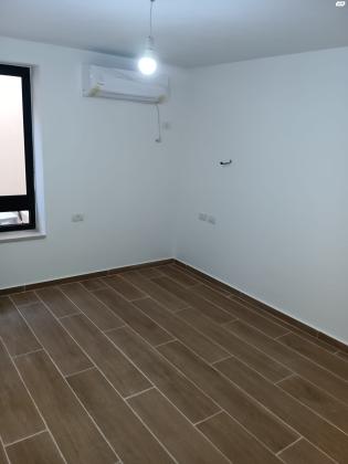 תכלת מרדכי 1