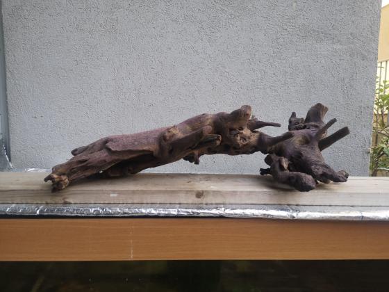 גזע עץ לאקווריום 65 ס"מ