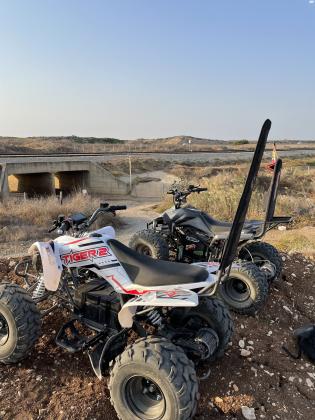 למכירה טיגר 2 60 וולט