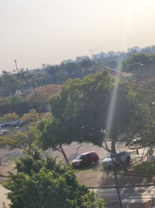 אלימלך רימלט 26 (לב הפארק)