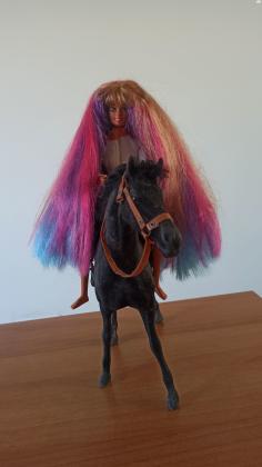 בובת ברבי על סוס Barbieבובת