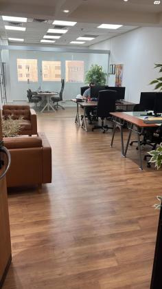 נפתלי פלטין 1 (מב"ת מערב)