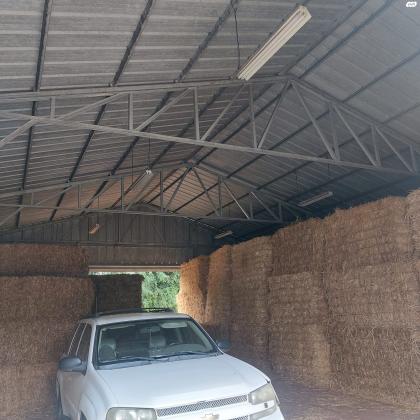 בלות חציר מסוג תלתן ובאקיה למכירה