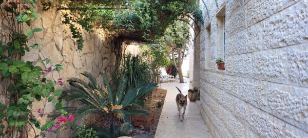 דרך נחל פרת 5