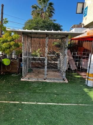 מלונה/כלוב לכלב גדול בנייה עצמית