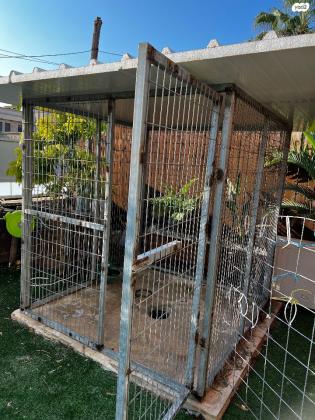 מלונה/כלוב לכלב גדול בנייה עצמית