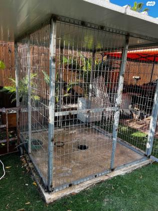 מלונה/כלוב לכלב גדול בנייה עצמית