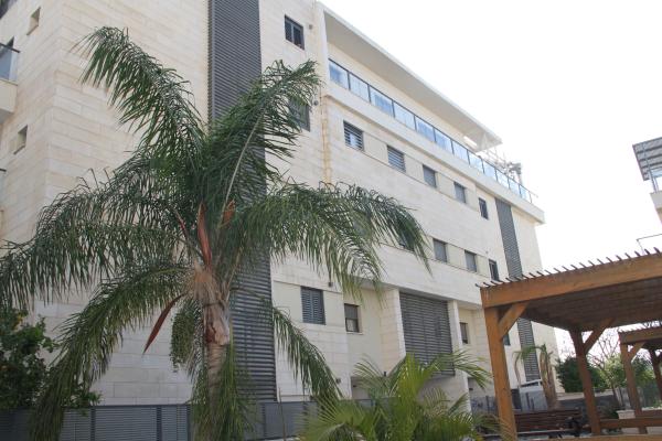 התאנים 28 (מרכז העיר)