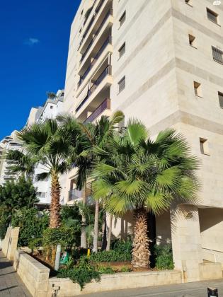 אריה בראון 10 (אם המושבות)