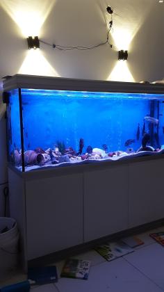 אקווריום פנורמה מטר וחצי כחדש