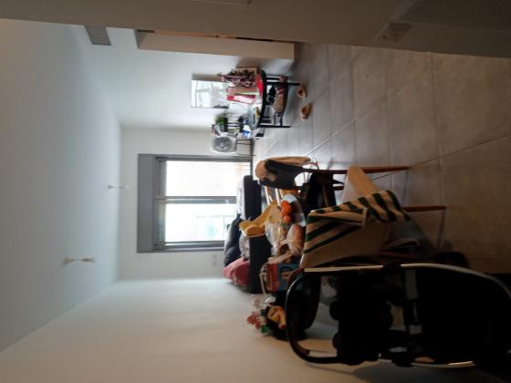 ברתיני גארי 9