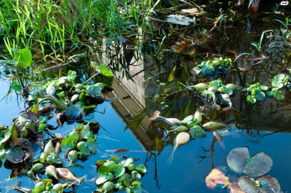 בית לחם הגלילית 1
