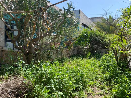 לודוויפול 8 (שפירא)