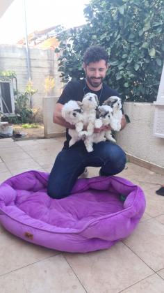 שלום חברים, אנחנו מציעים למסירה