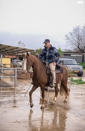 TWH full package סוסת ייבוא