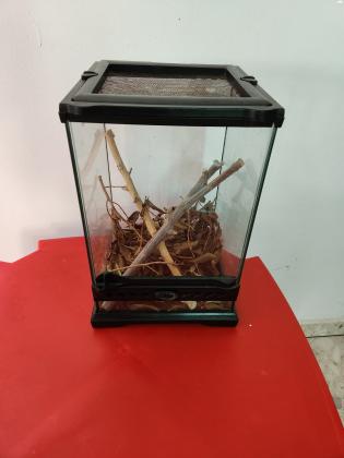 טרריום אקזו טררה ננו גבוה