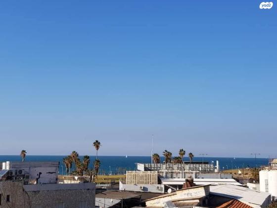 דוד רזיאל 2 (צפון יפו)