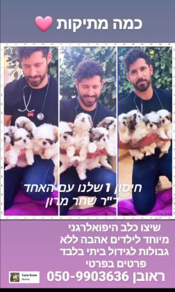 שלום חברים, אנחנו מציעים למסירה