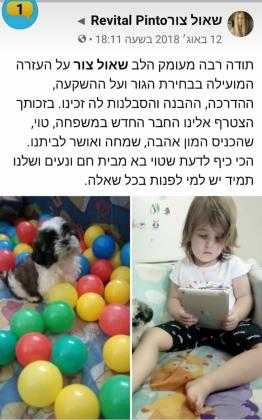 גידול גורי שיצו טריקולור ייחודי