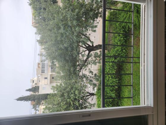 שדרות טרומפלדור 40 (זיו)