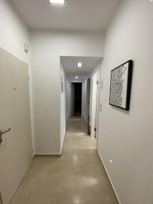 דב הוז 7 (כצנלסון)