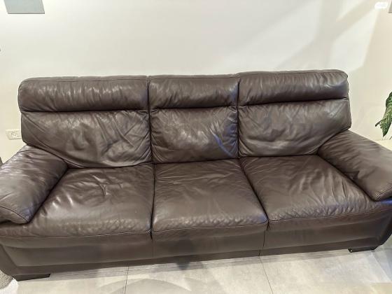 סלון עור יפיפה של חברת נטוצי