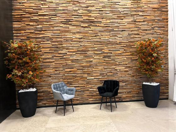 זבולון המר 2 (קרית ראשון;קריית כרמים)