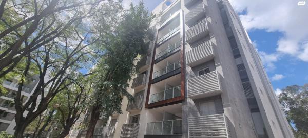 שרה אהרונסון 40 (אזור הבילויים)