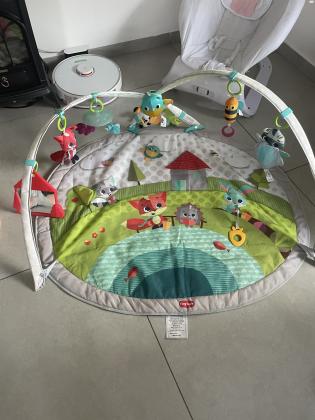 אוניברסיטה של שילב חברת טייני