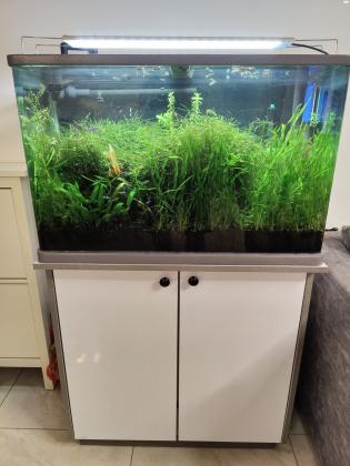 אני נאלץ למכור את האהבה