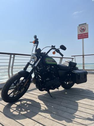 הרלי דיווידסון איירון 1200 (2022)