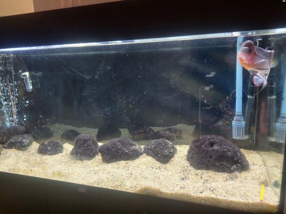 אקוורים גאוול כולל פילט עוצמתי