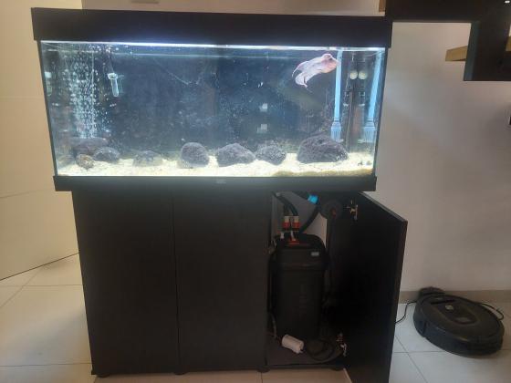 אקוורים גאוול כולל פילט עוצמתי