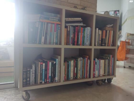 כוורת יפהיפה על גלגלים 120*75*30