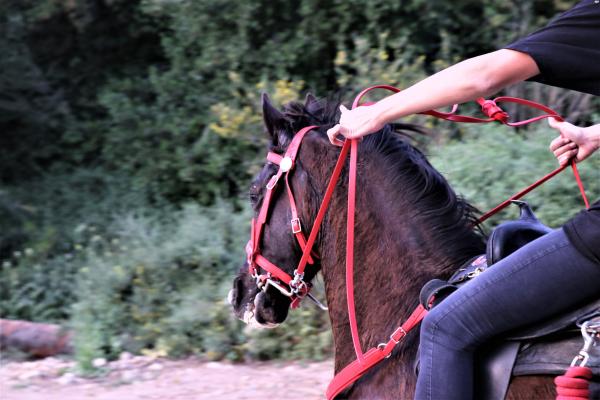 חצי סינגל מיזורי רמה