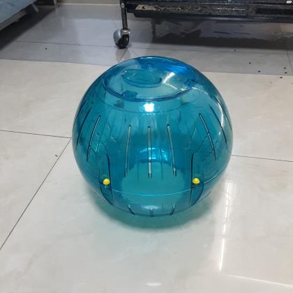 צ'ינצ'ילה מהממת חברותית במיוחד בת