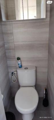 דוד כוכבי 24 (אפריים;סלע)