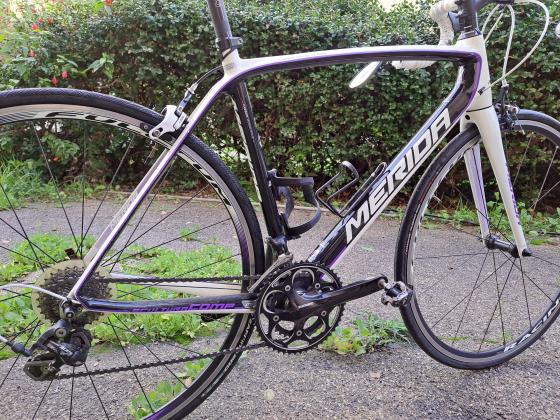 שילדת קרבון, גודל מדיום, אבזור